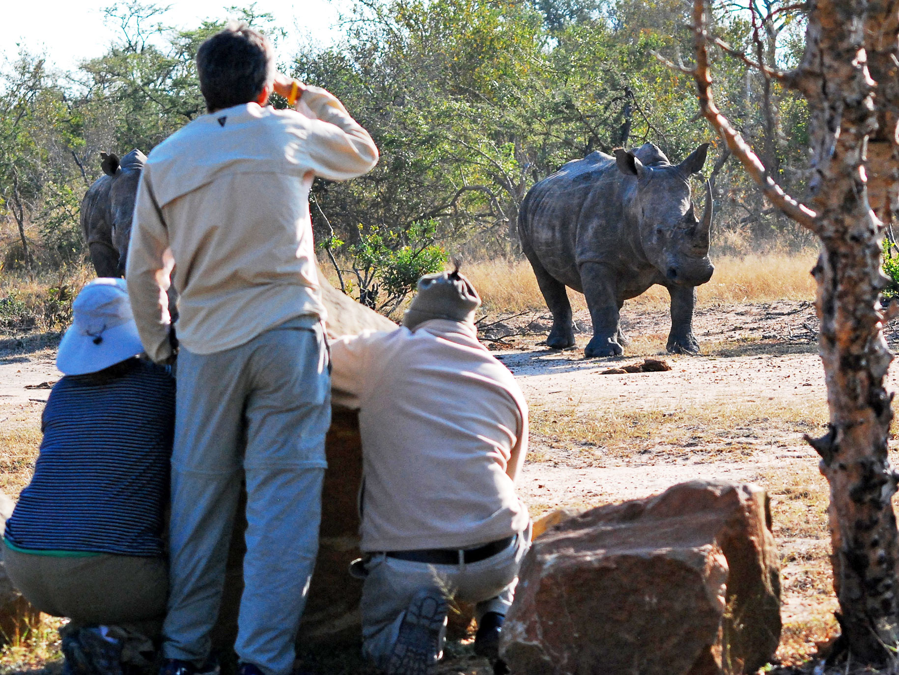Walking the big 5