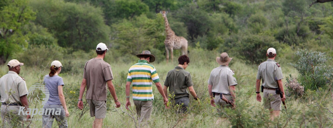 kapama bush walk