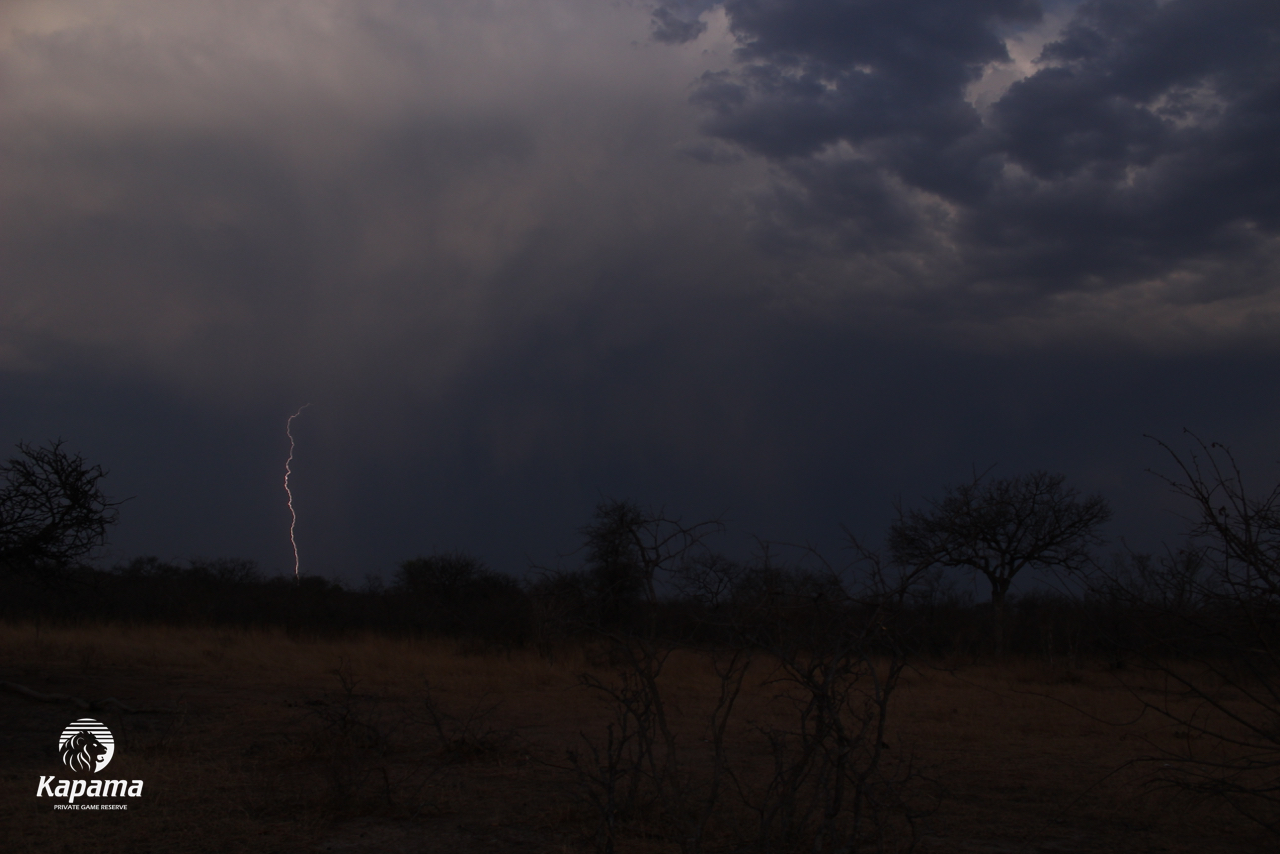 Kapama Rain storm lightening