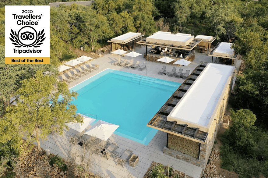 Kapama River Lodge cocktail pool Tripadvisor Il meglio del meglio