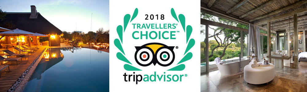 Riserva di caccia di Kapama Scelta dei viaggiatori di Tripadvisor