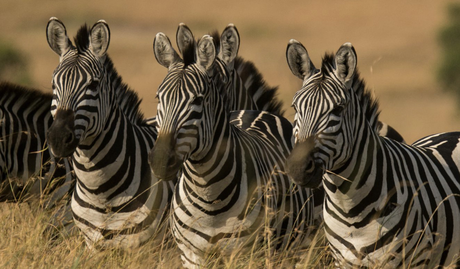 Sustainable Tourism Development in Africa