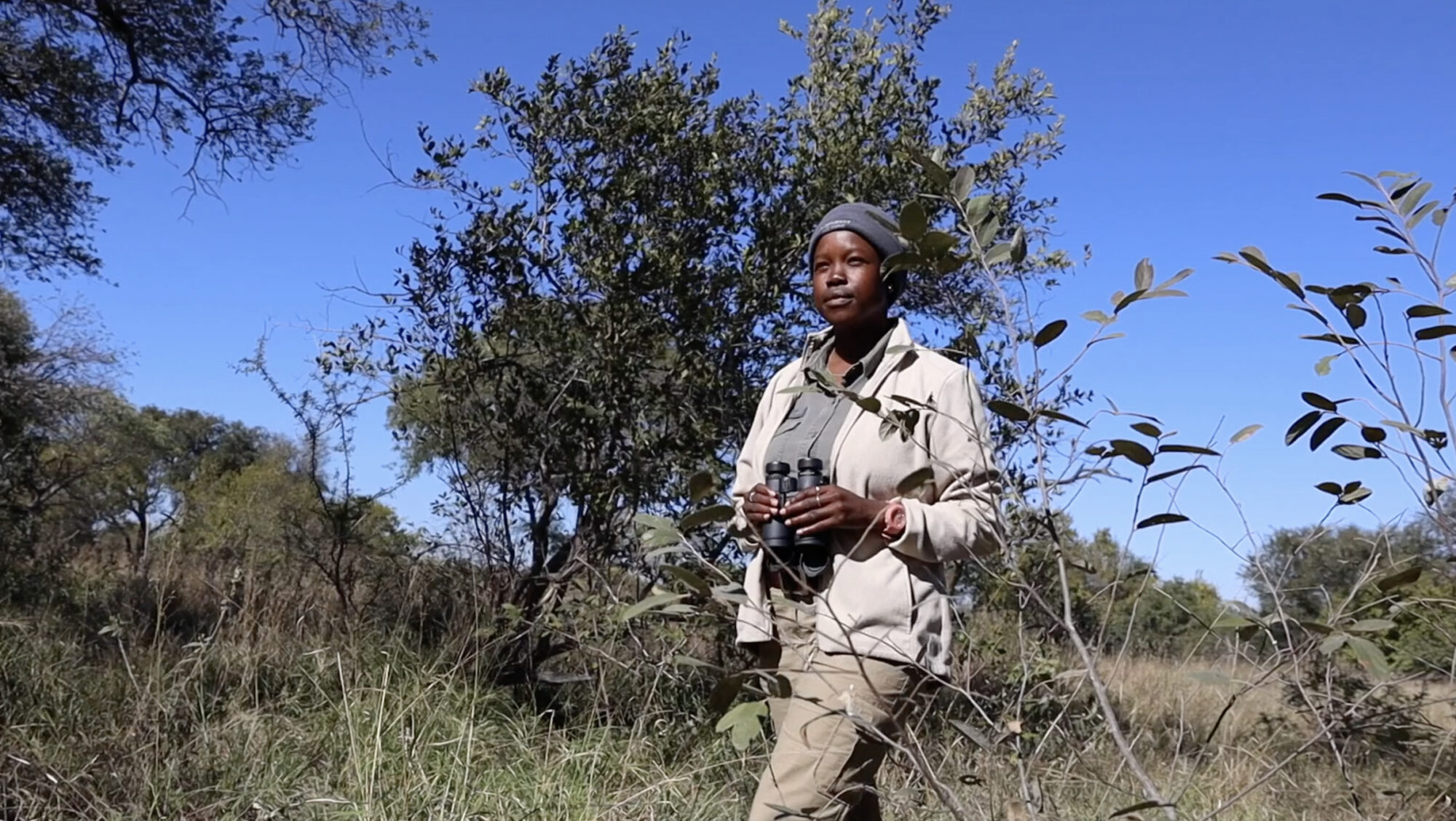 A female safari guide standing in the bushveld with binoculars in hand, dressed in khaki and beige uniform, under a clear blue sky at Kapama Private Game Reserve.