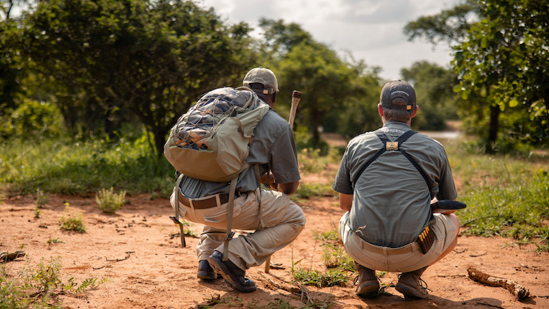 Two field guides crouched on a red sandy trail in Kapama Private Game Reserve, carefully analyzing wildlife tracks while navigating through the bush on foot.