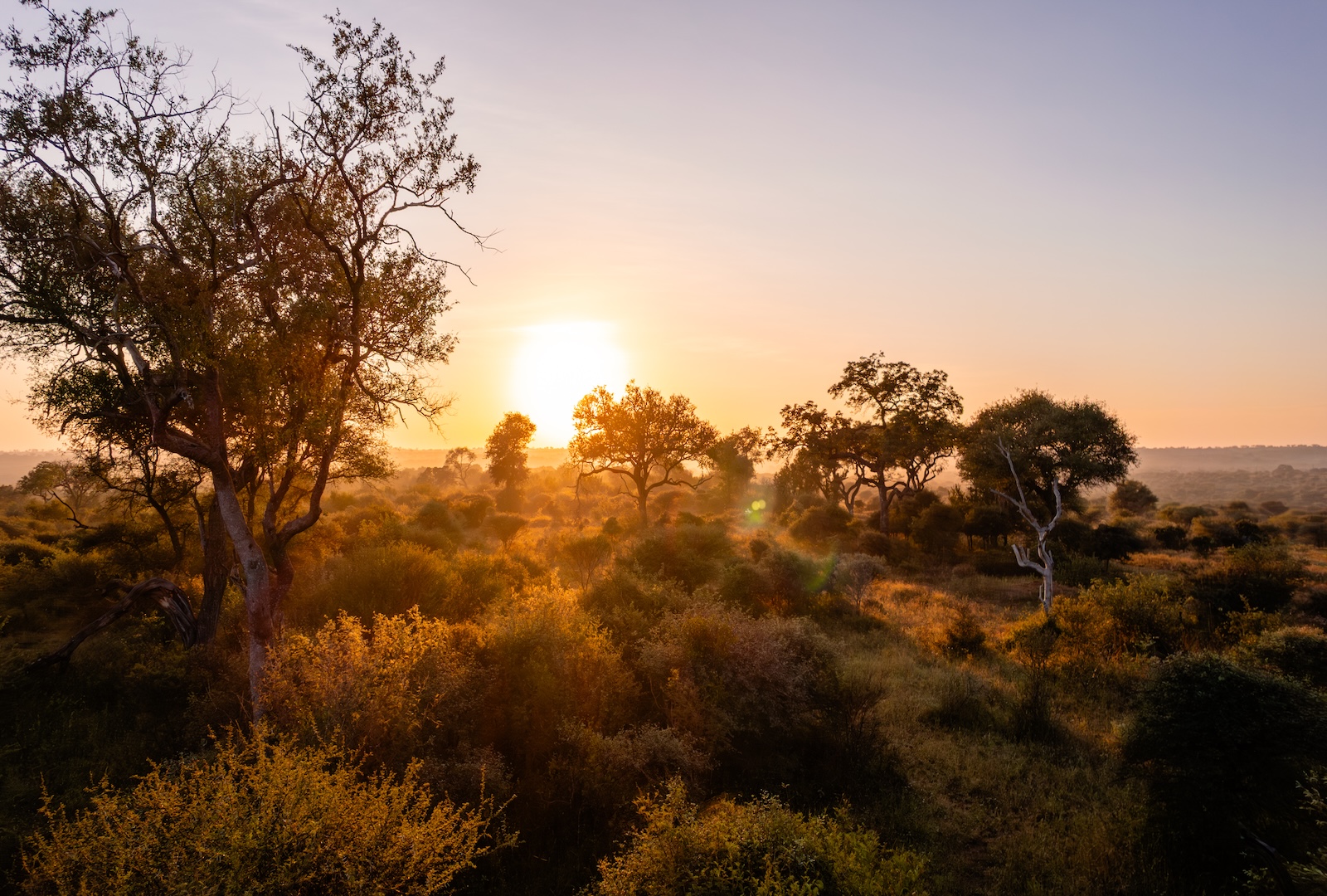 Kapama Reserve landscape