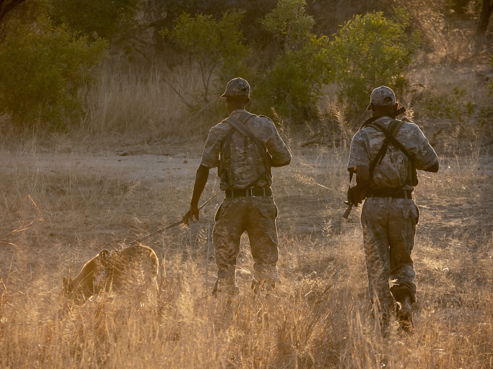 Kapama anti poaching team