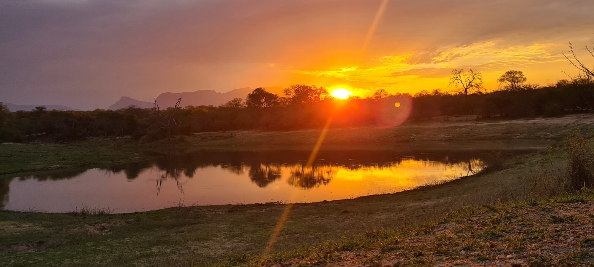 View Of The African Bush That Is Home To The Ugly Five