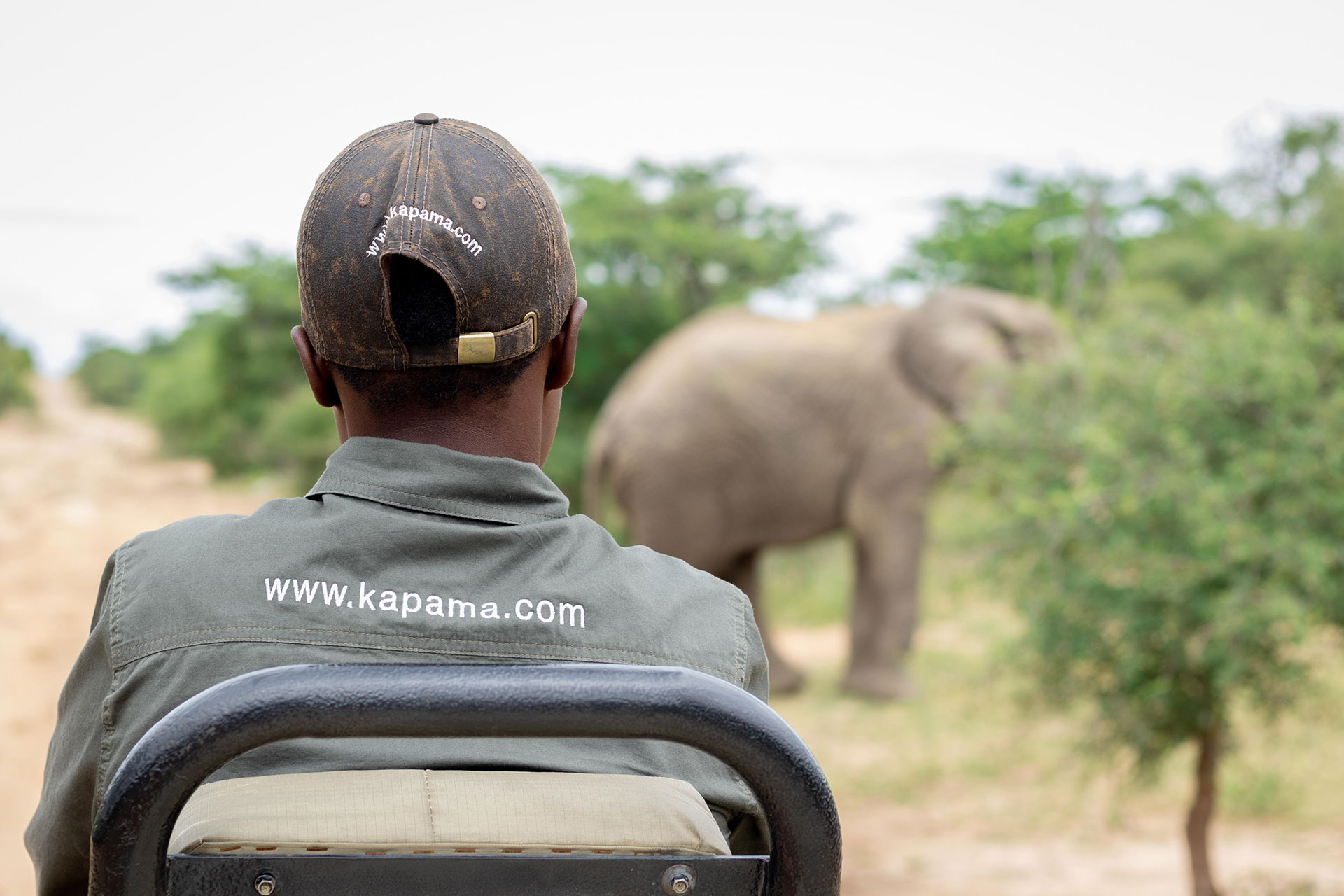 View Of A Kapama Guides