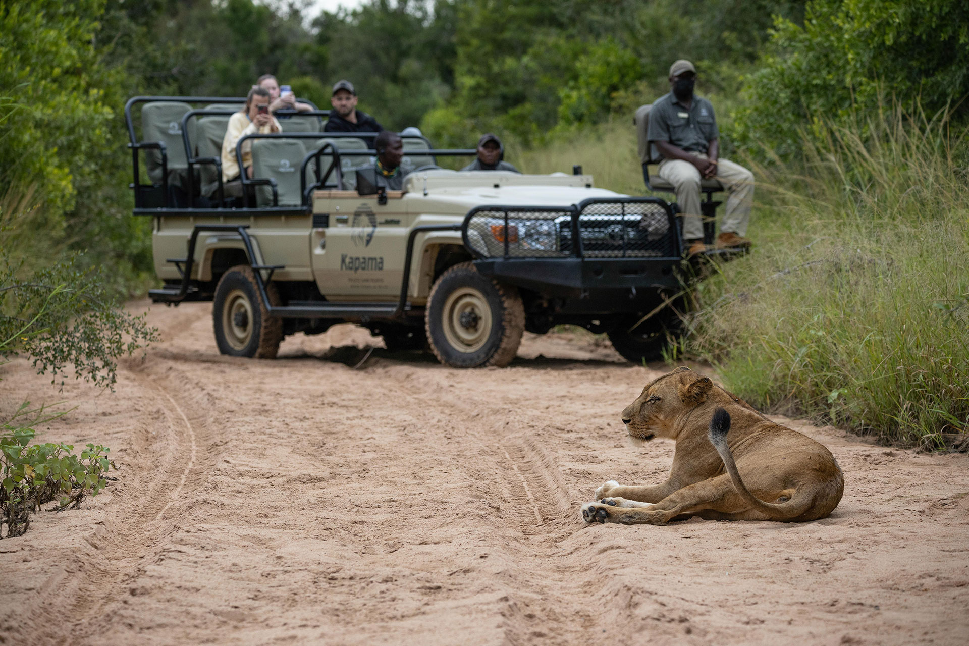 Wildlife-Encounters-At-Kapama Wildlife Encounters At Kapama