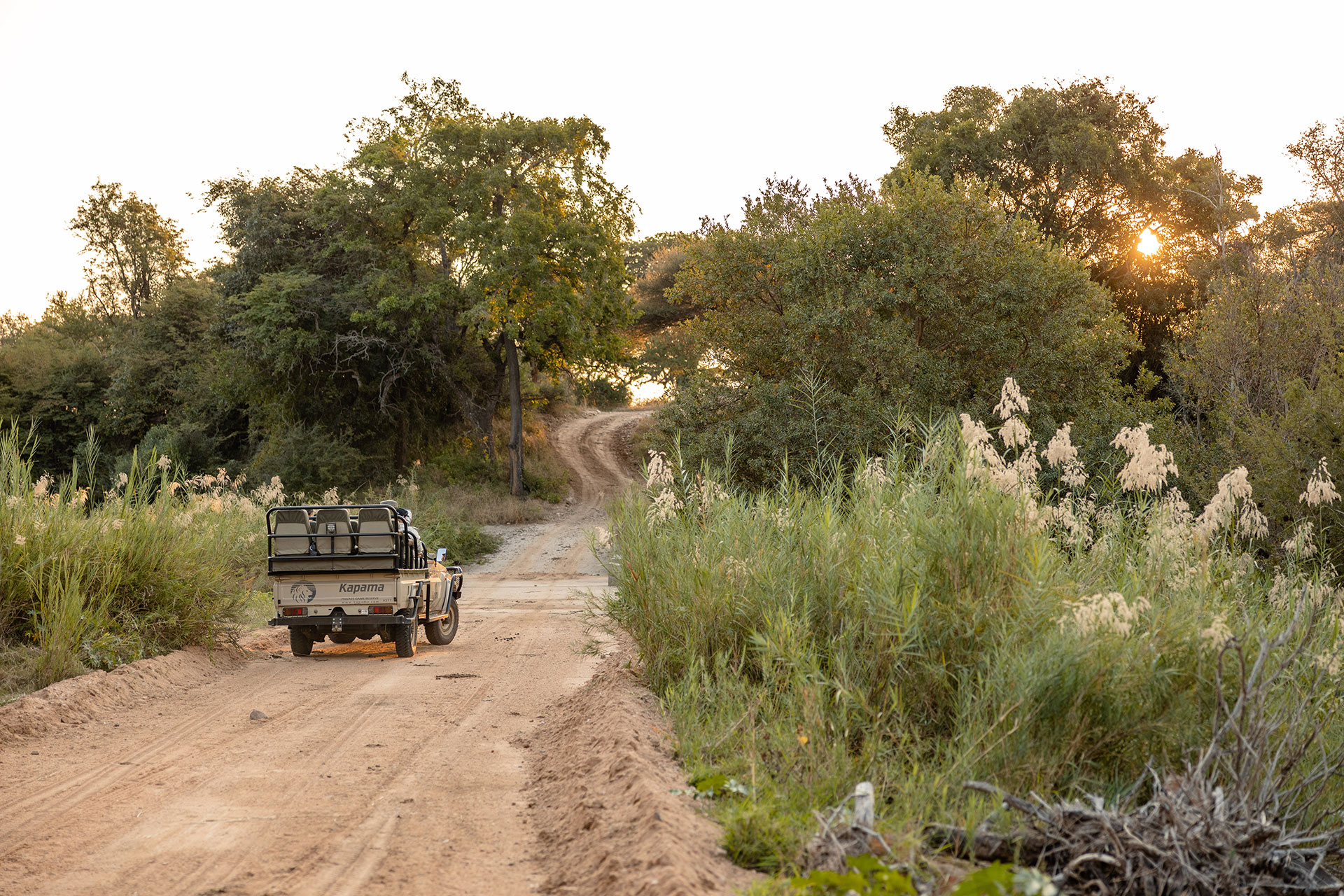 View Of Van At A Game Reserve