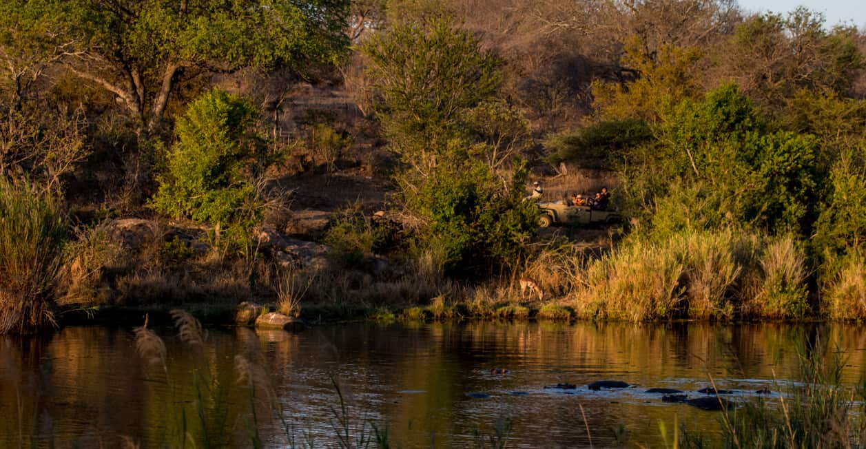 Kapama landscape sustainability