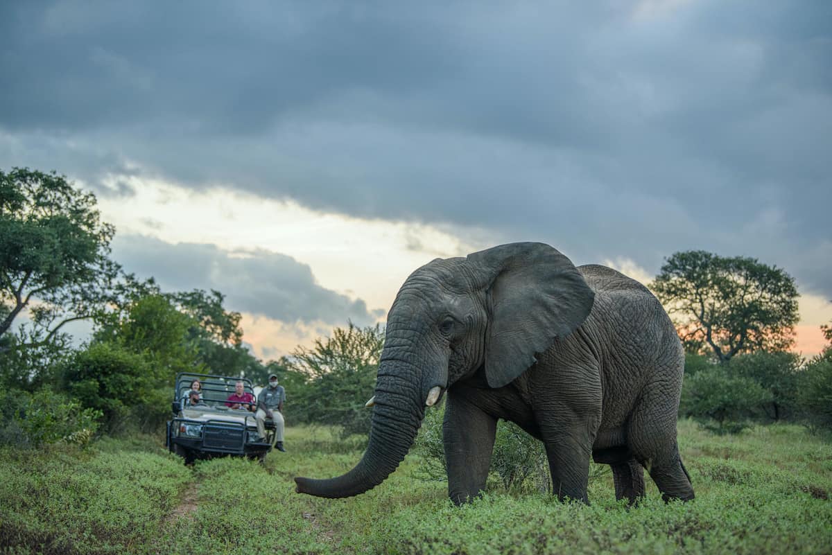 Kapama game drive