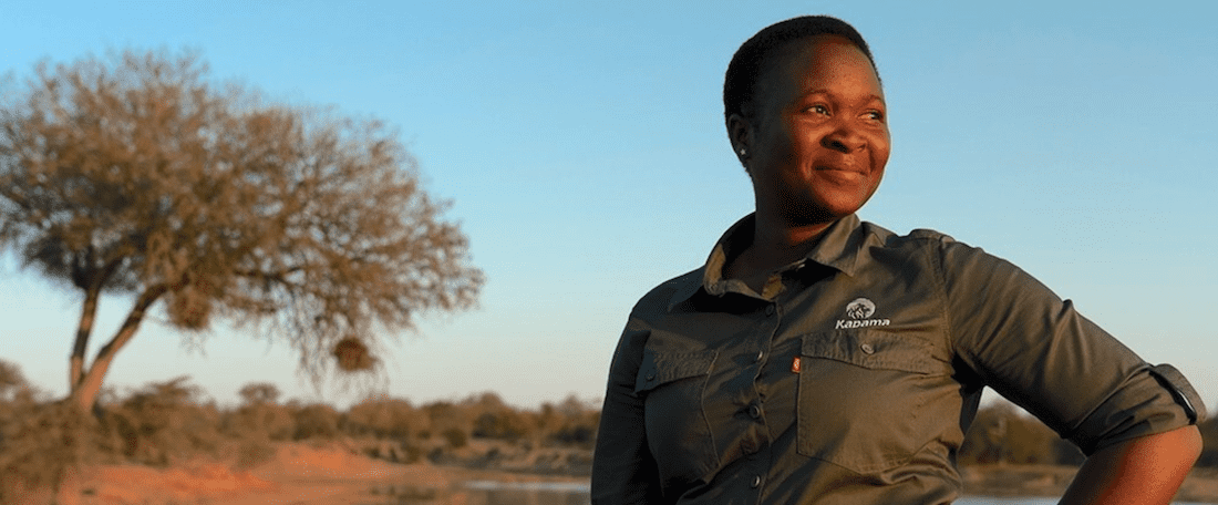 Kapama Queen field guide