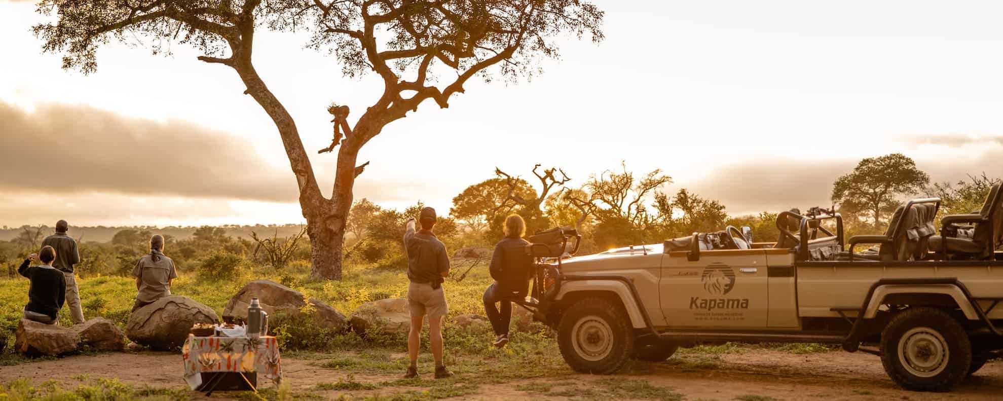 Kapama game drive sunrise views Kapama game drive sunrise views